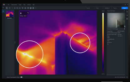 analyse thermographie